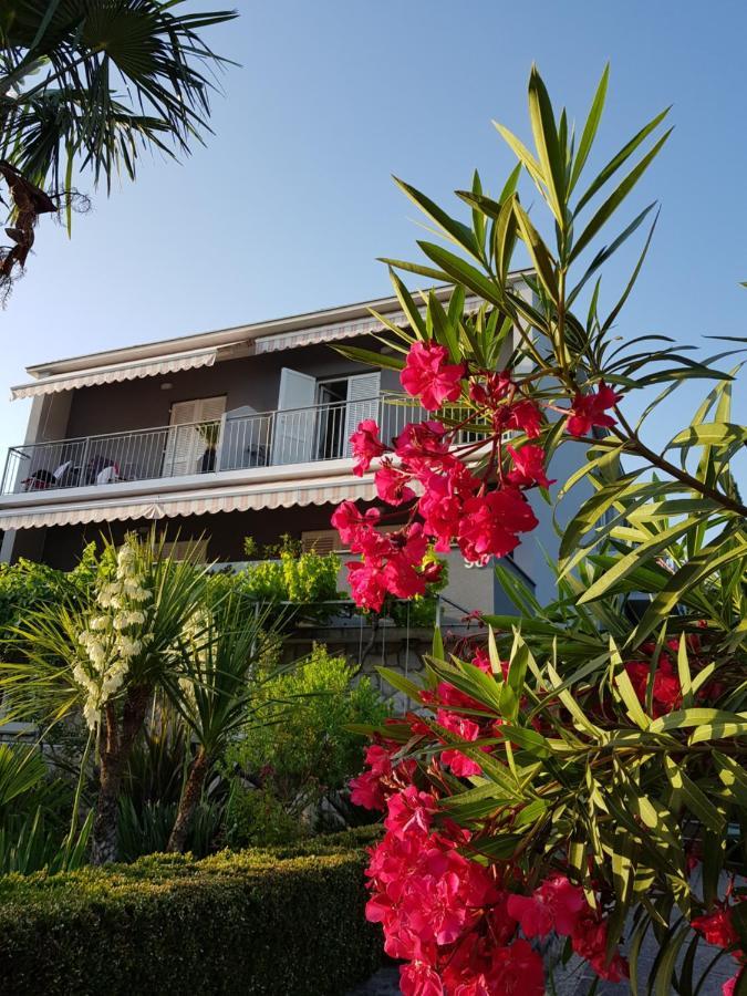 מלון דראמליי House Diana מראה חיצוני תמונה